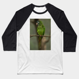 112418 Green Parrot Baseball T-Shirt